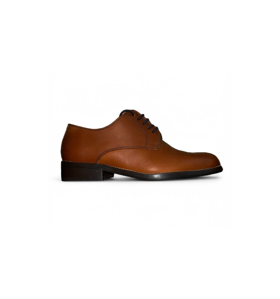 ZAPATO MODELO 254